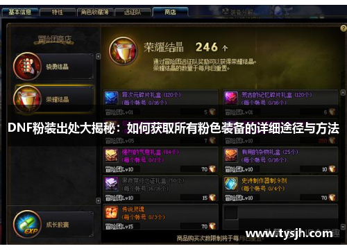 DNF粉装出处大揭秘：如何获取所有粉色装备的详细途径与方法