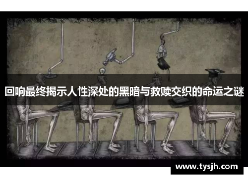 回响最终揭示人性深处的黑暗与救赎交织的命运之谜